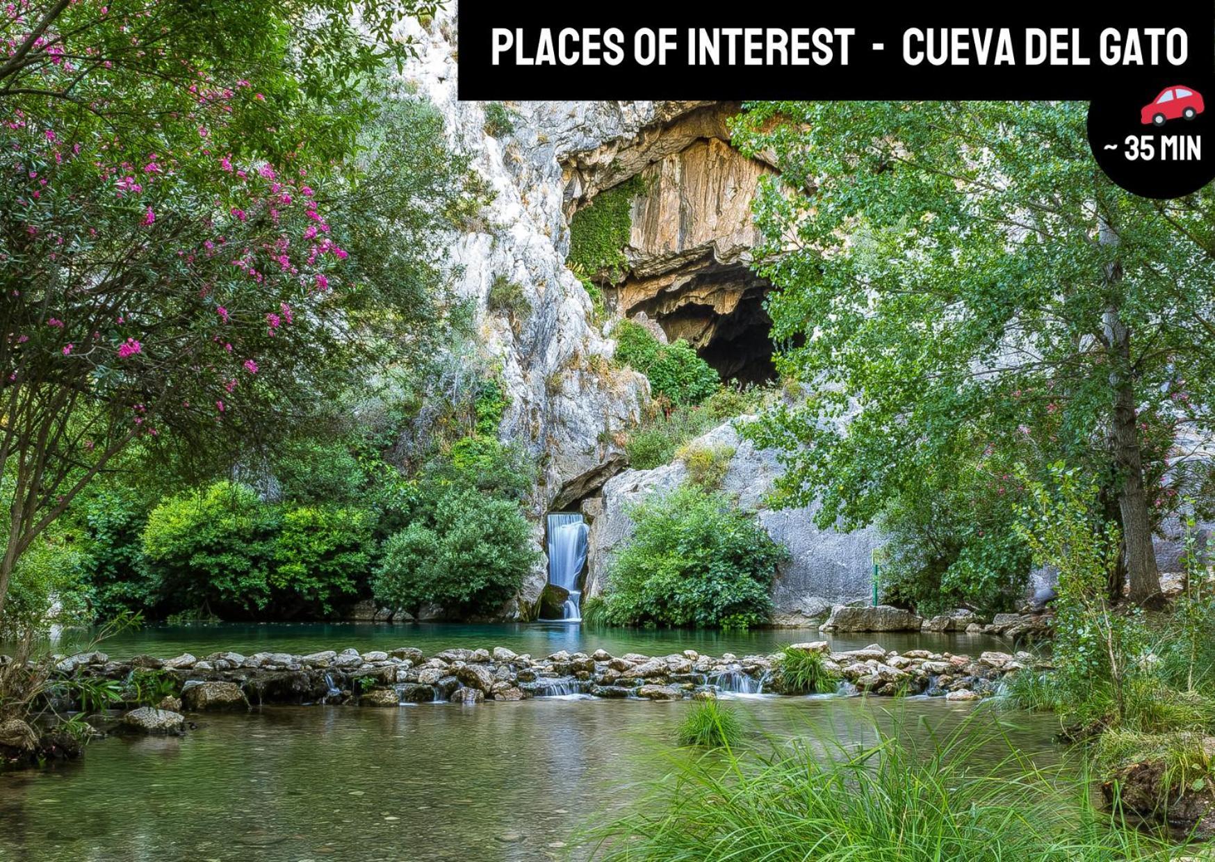 Casa Rural El Rincon De La Yedra Setenil De Las Bodegas Εξωτερικό φωτογραφία